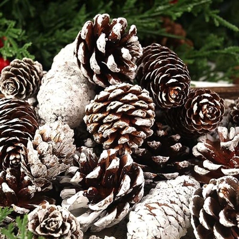 JOHOUSE 40PCS 장식을위한 눈 Pinecones, 공예품을위한 천연 소나무 콘 크리스마스 트리를위한 크리스마스 소나무 콘 장식품 겨울 휴가 매달려 장식품