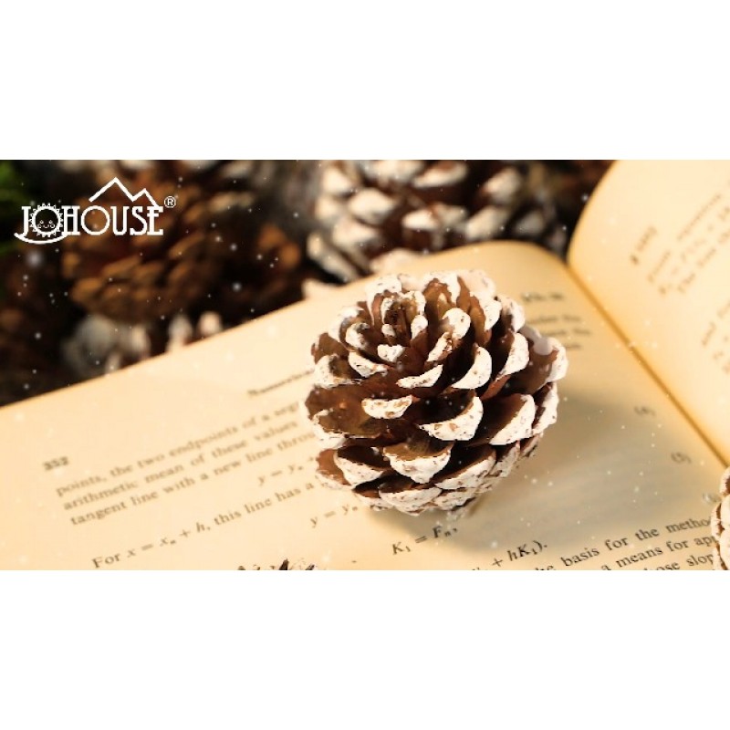 JOHOUSE 40PCS 장식을위한 눈 Pinecones, 공예품을위한 천연 소나무 콘 크리스마스 트리를위한 크리스마스 소나무 콘 장식품 겨울 휴가 매달려 장식품