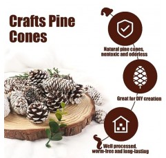 JOHOUSE 40PCS 장식을위한 눈 Pinecones, 공예품을위한 천연 소나무 콘 크리스마스 트리를위한 크리스마스 소나무 콘 장식품 겨울 휴가 매달려 장식품