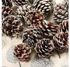 Cooraby 24 조각 크리스마스 소나무 콘 장식 선물 태그에 대 한 문자열 펜 던 트 공예와 자연 PineCones 크리스마스 트리 파티 장식 매달려 (눈)