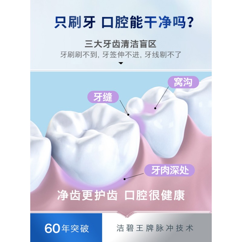 미국 치아 청소기 GS5 전기 치아 세정기 치열 교정 물 Flosser 휴대용 WP-462EC 홈 GS10