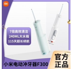 Xiaomi 전기 치아 Flosser F300 홈 휴대용 물 Flosser 구강 깊은 청소 치아 Scalper