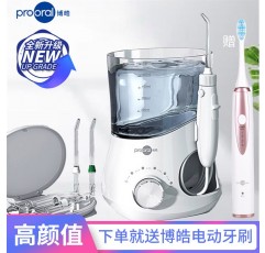 Bohao 5102 데스크탑 치과 린서, 치과 세척기, 치아 미적분 교정 예방, 대용량 가정용