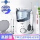 Bohao 5102 데스크탑 치과 린서, 치과 세척기, 치아 미적분 교정 예방, 대용량 가정용