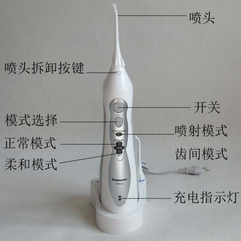 파나소닉 EW1411 휴대용 홈 치아 세정기 물 치실 정품