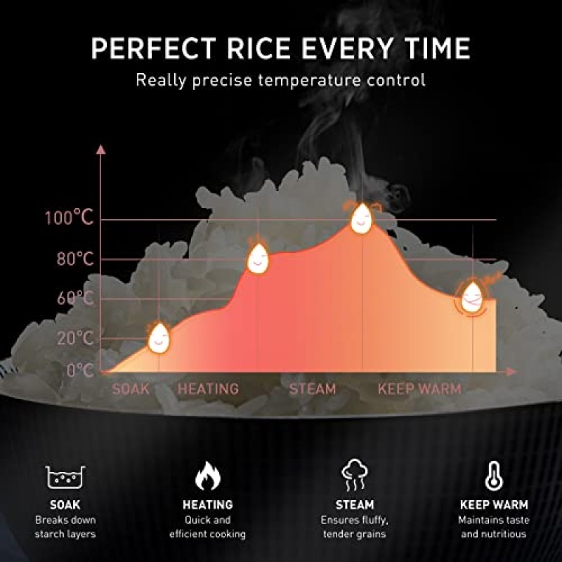 곰밥솥 6컵 밥솥, 3D 가열 및 퍼지 로직, 건강한 붙지 않는 소형 밥솥, PFAS 없음, 터치스크린, 백미/현미 퀴노아 오트밀 수프용, 1.6L 흰색