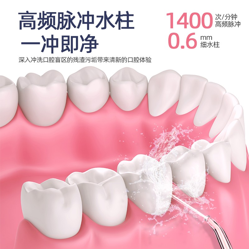 Holaya 휴대용 가정용 전기 치아 Flosser 4단 모드 정수기 및 치실 전기 펄스 치아 Flosser