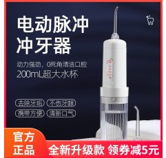 전기 펄스 치아 Flosser Holaya 휴대용 홈 전기 치아 Flosser 4단 모드 강력한
