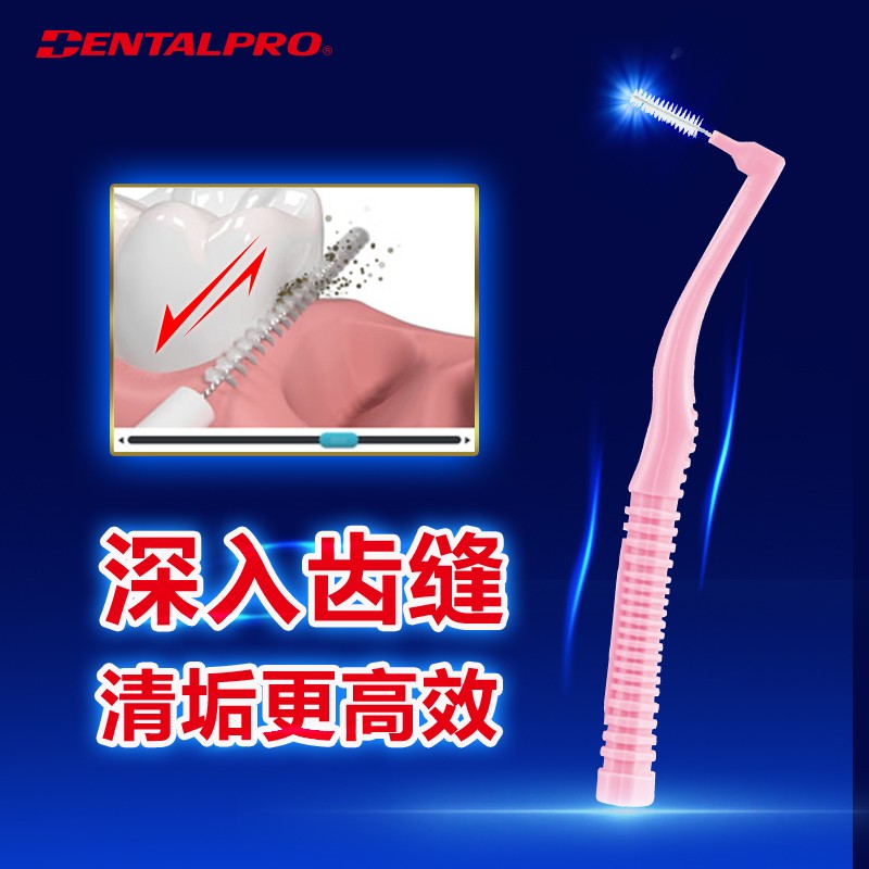 일본산 DENTALPRO 치간 칫솔질 브러쉬 10개, 휴대용 상자 포함