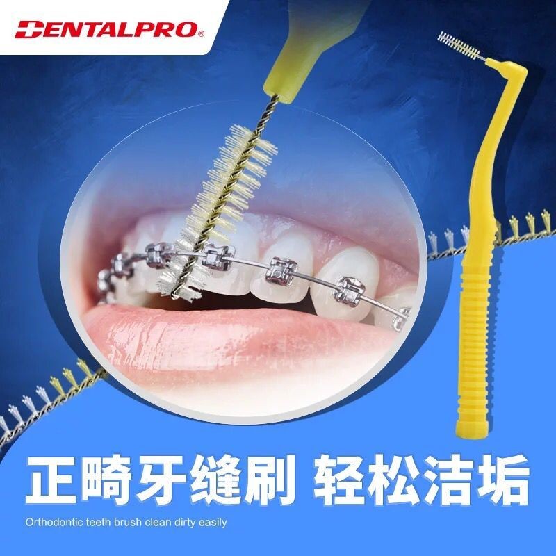 일본산 DENTALPRO 치간 칫솔질 브러쉬 10개, 휴대용 상자 포함