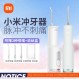 Xiaomi 치아 Flosser F300 Mijia 휴대용 전기 치아 세정기 가정용 물 치실 구강 치아 교정 치과 특수 청소
