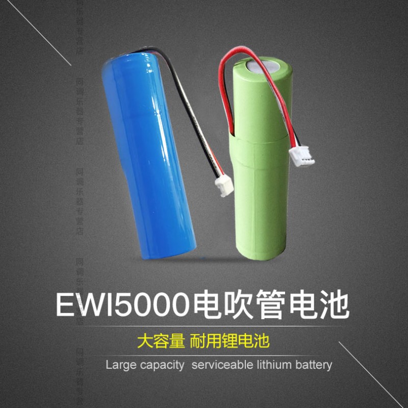 AKAI EWI5000 EWI SOLO 전기 취관 특수 배터리 예비 충전식 리튬 배터리 액세서리
