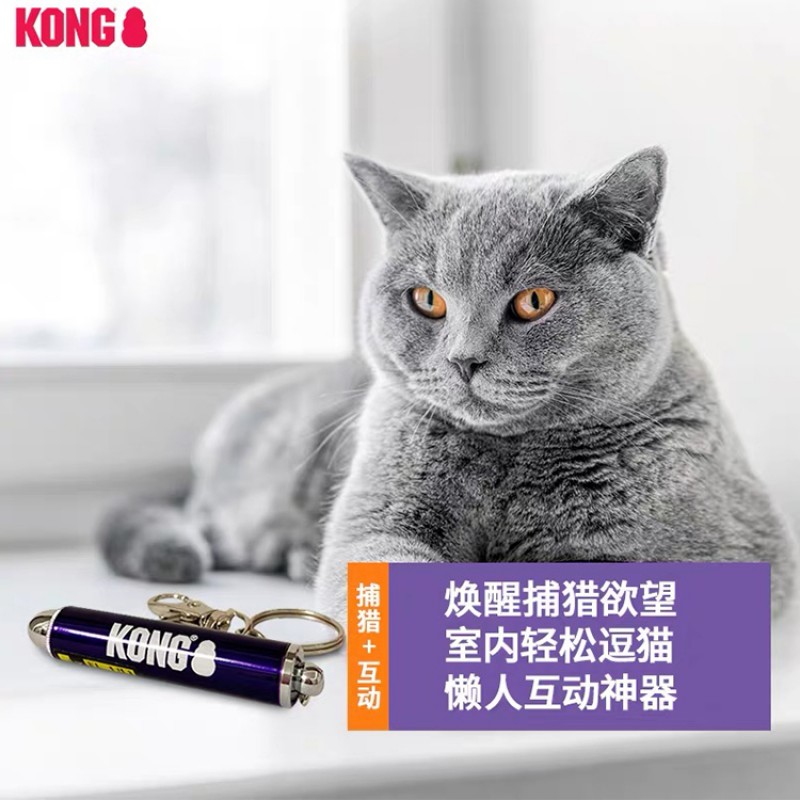 무료 배송 미국 KONG 인터넷 연예인 고양이 장난감 고양이 티저 적외선 고양이 티저 펜 자기 하이퍼 레이저 고양이 티저 스틱 유물