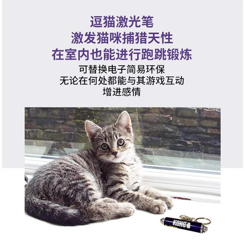 무료 배송 미국 KONG 인터넷 연예인 고양이 장난감 고양이 티저 적외선 고양이 티저 펜 자기 하이퍼 레이저 고양이 티저 스틱 유물