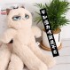 무료 배송 영국 GRUMPYCAT 심술 고양이 애완 동물 강아지 소리 장난감 플러시 슈나우저 코기 동반자 장난감