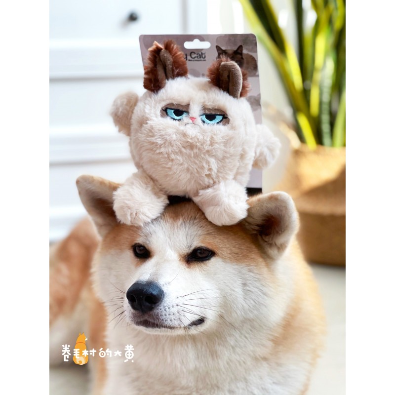 영국 심술 고양이 심술 고양이 냄새 나는 얼굴 고양이 애완 동물 고양이 개 봉제 인형 소리 장난감과 함께