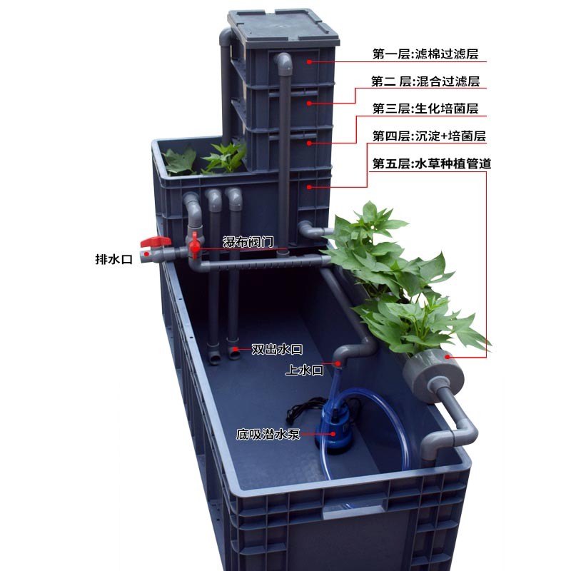 필터 풀, 거북 탱크, 노란색 가장자리 거북 번식 수조, 특수 회전율 상자가 있는 초대형 플라스틱 거북 상자