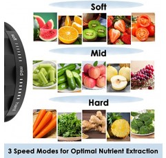저작 주서기, NXONE 야채 및 과일용 콜드 프레스 주서기, 3가지 속도 모드와 역방향 기능을 갖춘 주서기, 세척이 용이한 브러시가 있는 느린 주서기, 검정색