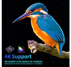 [4K 프로젝터] WiFi 블루투스가 포함된 야외 프로젝터 4k,900 ANSI 야외 영화 프로젝터 지원 PPT,6D/4P 수정,Dolby,50% 줌,노트북/전화/TV 스틱/PC용 HD 1080P 홈 시어터 프로젝터
