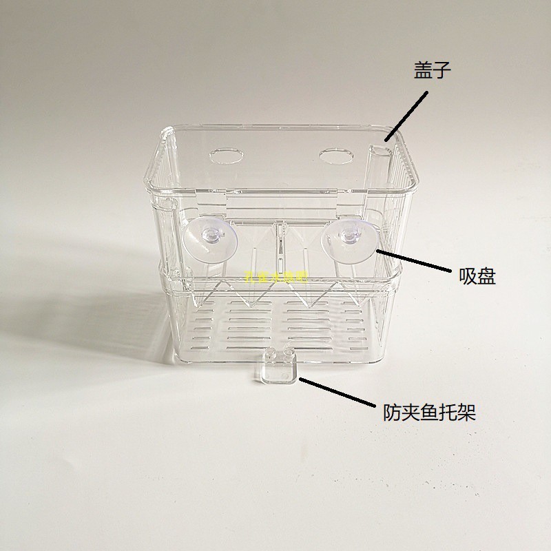 인큐베이션 상자 더블 레이어 작은 betta 상자 격리 그물 교수형 공압 필터 여성 물고기 산란 번식 상자