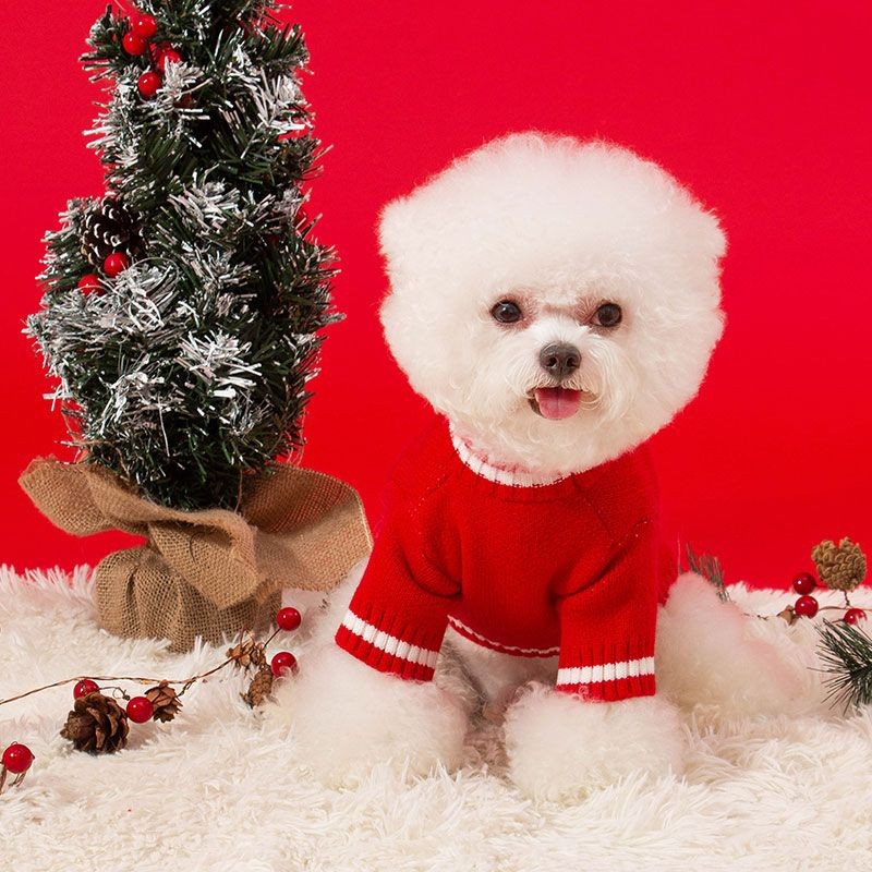 개 크리스마스 옷 가을, 겨울 크리스마스 애완 동물 따뜻한 스웨터 작은 강아지 테디 Bichon Pomeranian 의류