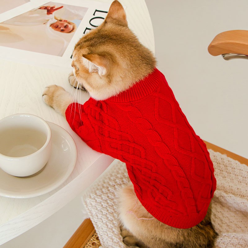 고양이 옷 Ragdoll 새끼 고양이 겨울 스웨터 남성 고양이 파란 고양이 애완 동물 인터넷 연예인 고양이 Anti-Shedding 새끼 고양이 가을과 겨울 스타일