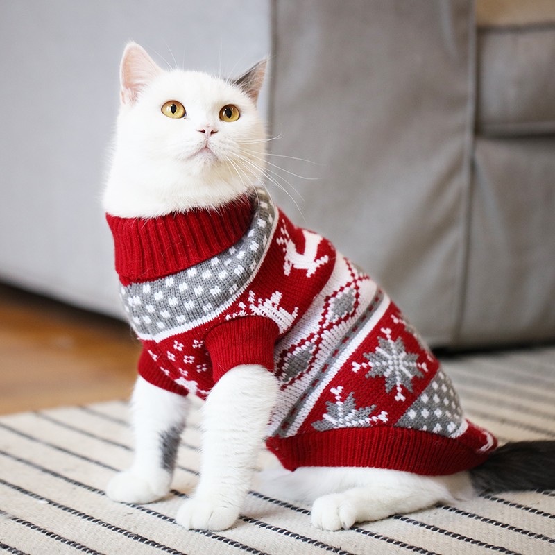 고양이 옷, 애완 동물 영국 짧은 고양이 옷, 새끼 고양이 가을 겨울 옷, 샴 고양이 하이 칼라 털이없는 고양이 겨울 따뜻한 스웨터