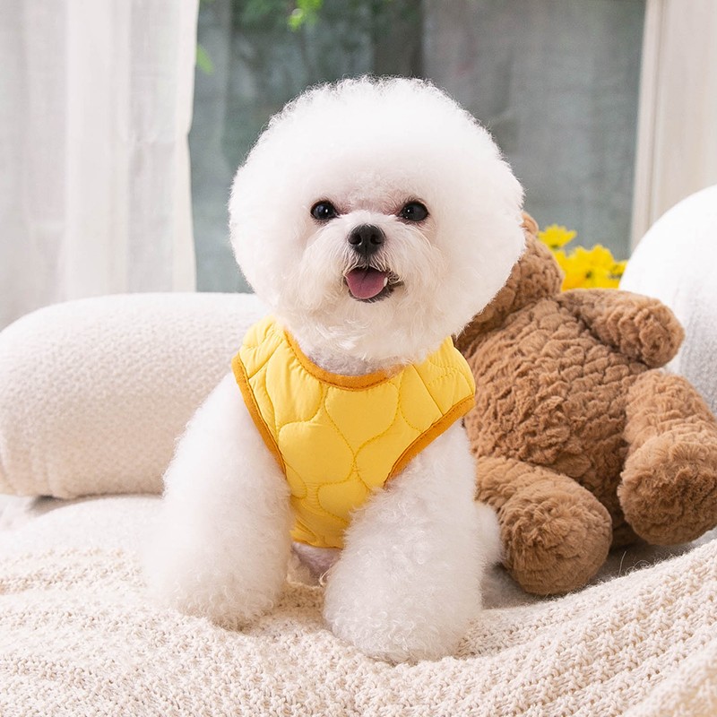 2022 새로운 조끼 애완 동물 강아지 의류 겨울 테디 Bichon Pomeranian 작은 강아지 고양이 가을, 겨울 스타일