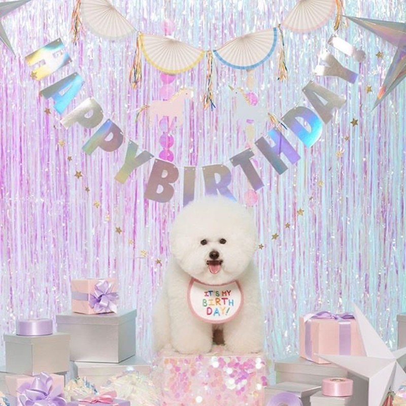 개와 고양이를위한 Baojuan 귀여운 생일 턱받이 테디 Bichon Pomeranian 턱받이와 입 닦음 애완 동물 장식