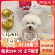 개와 고양이를위한 Baojuan 귀여운 생일 턱받이 테디 Bichon Pomeranian 턱받이와 입 닦음 애완 동물 장식