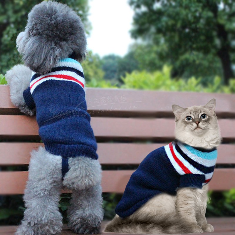 고양이 스웨터 가을 겨울 따뜻한 고양이 옷 123개월 된 새끼 고양이 데본 고양이 옷