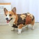 애완 동물 강아지 조끼 겨울 인터넷 연예인 따뜻한 조끼 Corgi Shiba Inu 테디 2021 새로운 강아지 겨울 옷