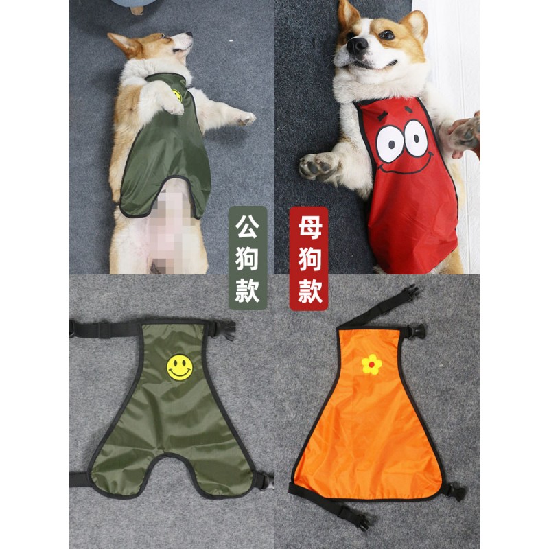 개 Bellyband Corgi 방수 Anti-Cold 배꼽 보호 애완 동물 비옷 중소형 개 허리 여름 얇은 옷