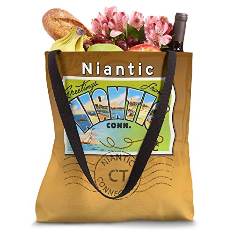 Niantic Connecticut CT 대문자 엽서 소인이 찍힌 토트백
