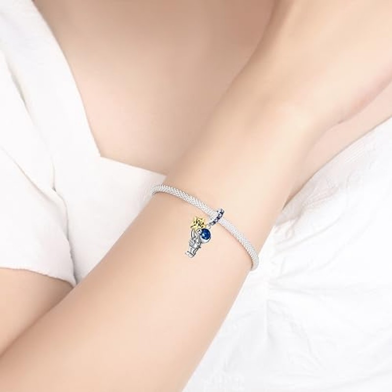 ARVALILS 925 스털링 실버 참은 여성용 매력 팔찌 & 목걸이에 적합합니다. 발렌타인 데이 어머니의 날 쥬얼리 선물 여성용 여성용