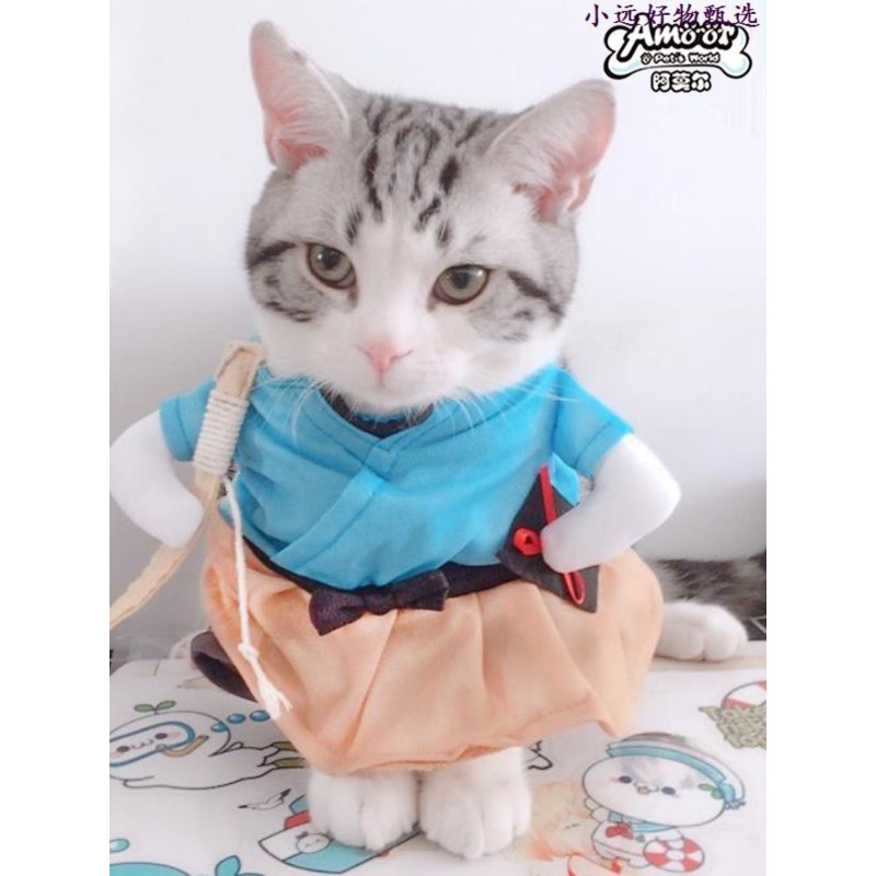 고양이 옷 애완 동물 옷 재미 있은 Douyin 같은 스타일 우라시마 타로 고양이 재미 있은 옷 고양이 옷 고양이 스트레이트