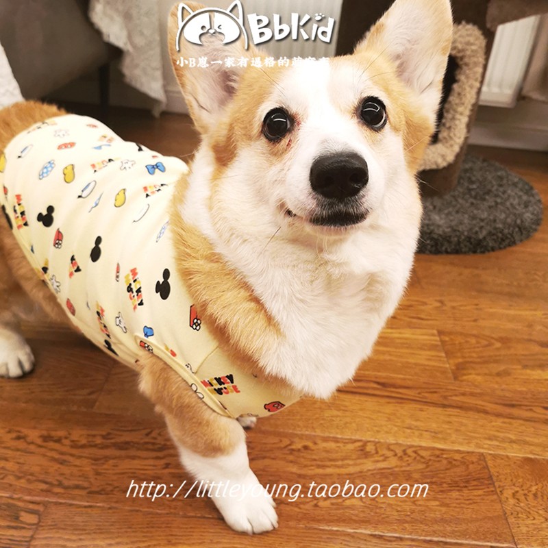 Little B Cub 무료 배송 Ins 스타일 순수 코튼 편안한 커스터드 애완 동물 조끼 Corgi Shiba Inu 옷 개 집 옷