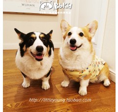 Little B Cub 무료 배송 Ins 스타일 순수 코튼 편안한 커스터드 애완 동물 조끼 Corgi Shiba Inu 옷 개 집 옷