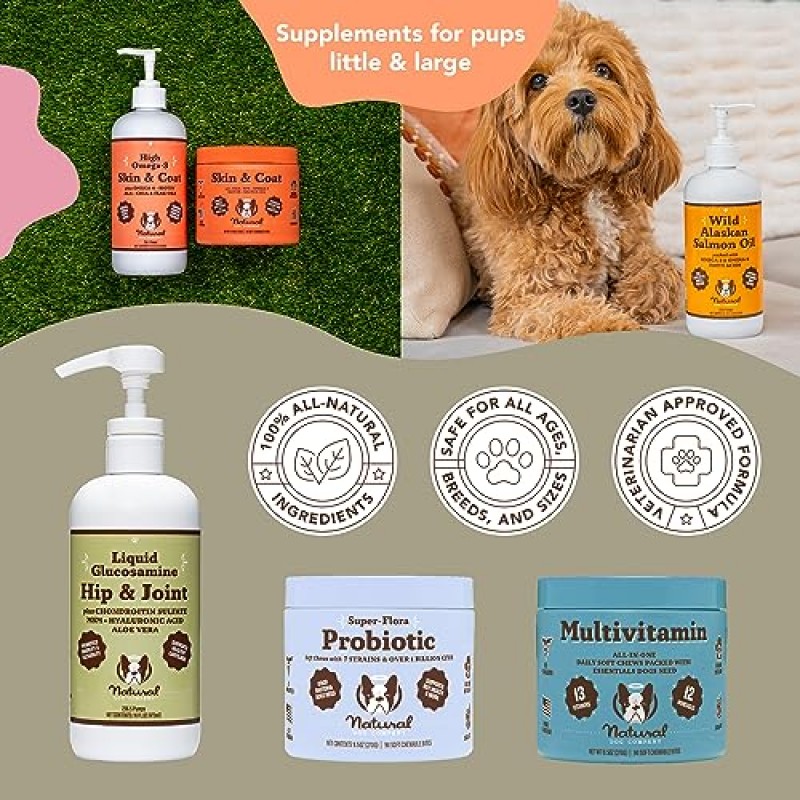 Natural Dog Company 개를 위한 크랜베리 ​​보충제 - 개를 위한 비뇨기 및 방광 지원 - 개를 위한 D-만노스는 방광 건강을 촉진합니다 - 터키 맛 - 개 UTI 요실금 보조제 - 90 소프트 츄