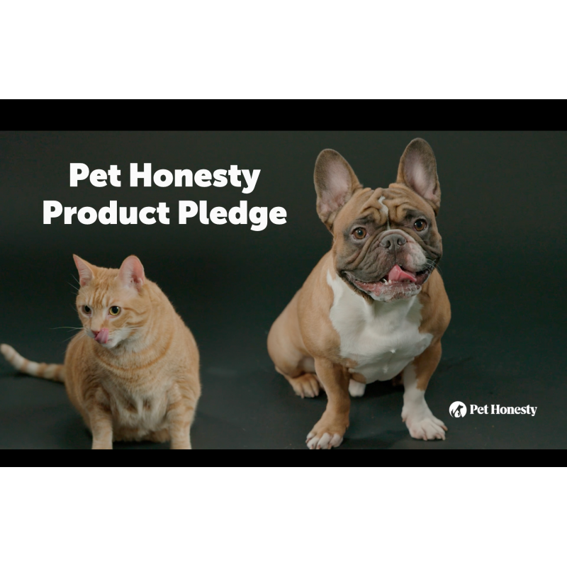 Pet Honesty 개를 위한 Omega SkinHealth 츄 - 오메가 3 피쉬 오일 - 건강한 피부 및 털을 위한 크릴, 스피루리나, 오메가-3, 알래스카, 가려운 피부, 개 알레르기에 도움, 정상적인 털빠짐 감소 가능 - (90개)