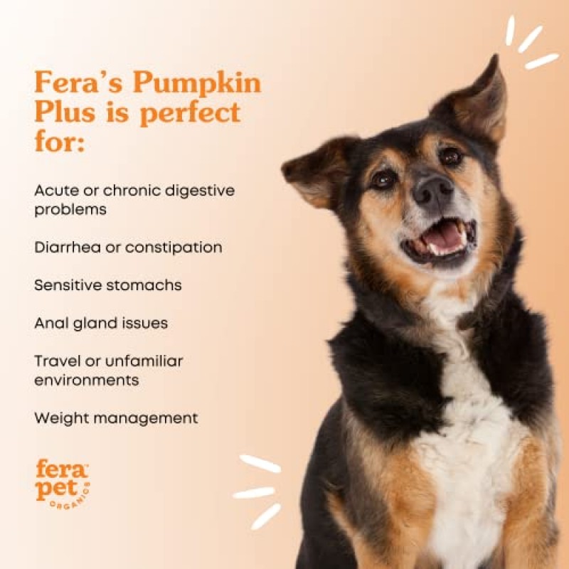 Fera Pet Organics - 호박 플러스 - 섬유질 보충제 - 개용 호박, 고양이용 호박 - 소화, 심장 및 장 건강 지원 - 호박씨 함유 비타민 - USDA 인증 유기농 - 120회 제공량