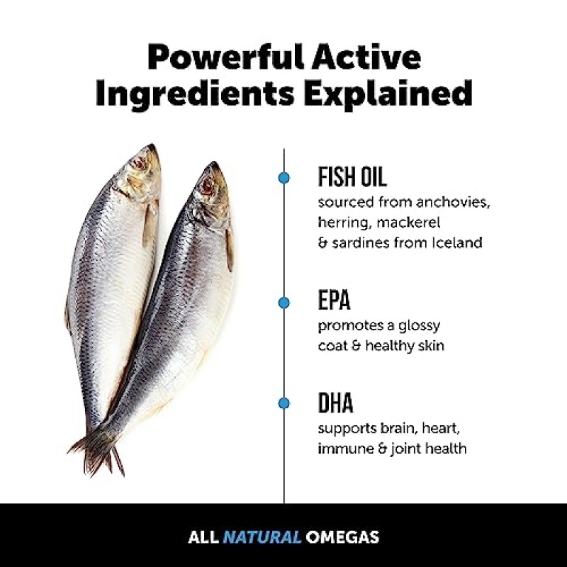 개와 고양이를 위한 Pet Honesty 오메가-3 피쉬 오일(16온스) - 개를 위한 연어 오일보다 우수함 - 피부 및 외투 보충제 - EPA + DHA 지방산 - 탈모, 피부, 면역력, 관절, 뇌 및 심장 지원