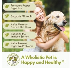 Wholeistic Pet Organics: 개 프로바이오틱스 및 소화 효소 분말 - 4온스 - 개 소화 지원 보충제는 위장 장애를 예방합니다. 장 건강 - 개와 고양이 대변을 위한 모든 프로바이오틱스 소화