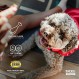 GNC Pets 심혈관 지원을 위한 고급 개 보조식품| 심장 건강 및 심장 건강을 위한 90 Ct 소프트 츄 강아지 보조식품 | 미국산 씹기 쉬운 개 보조식품