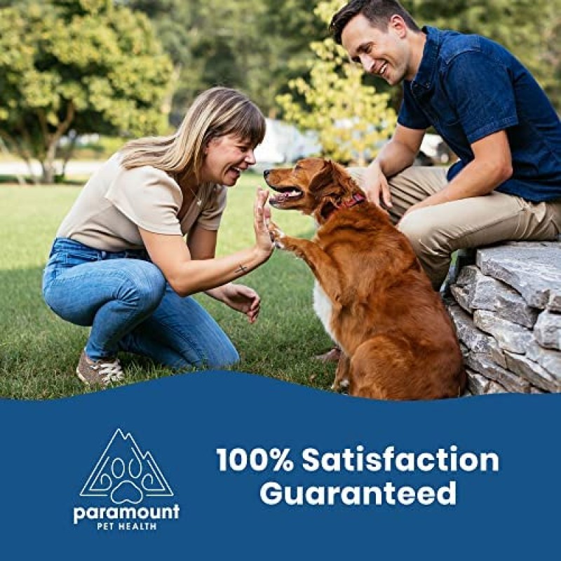 Paramount Pet Health 대형견용 천연 농축 글루코사민 - 5200mg 글루코사민 콘드로이틴(개용) - 개 관절 보조제 및 개 글루코사민 - 개 엉덩이 및 관절 보조제(16온스)