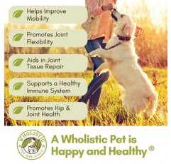 Wholeistic Pet Organics - 개 관절 보조제: 녹색 입 홍합을 통한 관절 이동성 - 1 Lb - 개 엉덩이 및 관절 지원 보조제 - MSM, 비타민 및 미네랄이 함유된 개를 위한 글루코사민 콘드로이틴