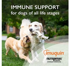 Nutramax Laboratories Nutramax Imuquin 면역 건강 보조제 파우더(개용), 베타 글루칸, 해양 지질, 비타민 및 미네랄 함유, 30 패킷