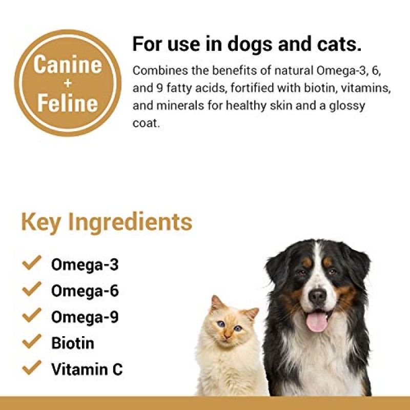 Vet Classics Omega 3-6-9 애완동물 피부 및 코트 개 보조제 – 고양이의 건강 피부 지원, 애완동물을 위한 광택 코트 – 고양이 피부, 개 피부를 위한 애완동물 건강 보조제 – 오메가 지방산 – 분말 14 Oz.