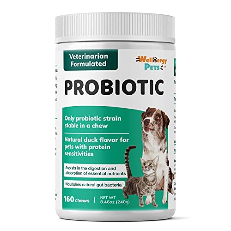 Wellnergy Daily Probiotic & Prebiotics Soft Chew for Dog & Cats - 설사, 변비, 위장 장애, 소화 불량 및 가스에 대한 소화 지원 - 소화, 알레르기 피부 및 면역 건강에 도움 160ct