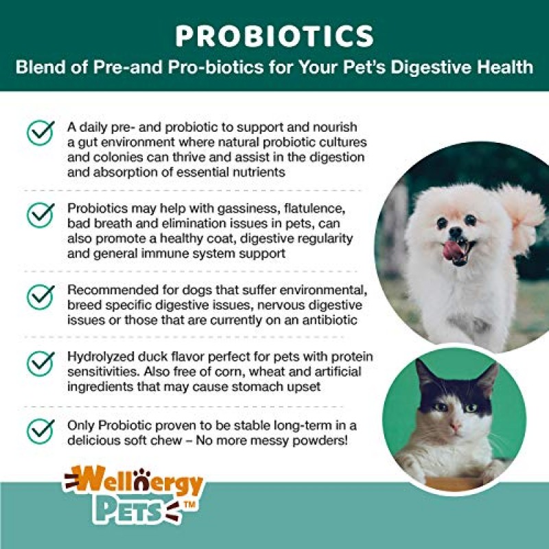 Wellnergy Daily Probiotic & Prebiotics Soft Chew for Dog & Cats - 설사, 변비, 위장 장애, 소화 불량 및 가스에 대한 소화 지원 - 소화, 알레르기 피부 및 면역 건강에 도움 160ct